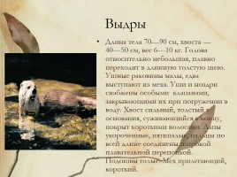 Красная книга Нижегородской области, слайд 9