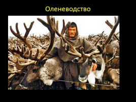 Малочисленные народы Иркутской области, слайд 6