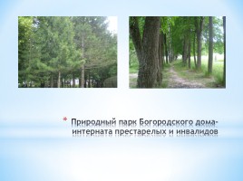Достопримечательности с. Богородского Ивановской области, слайд 9
