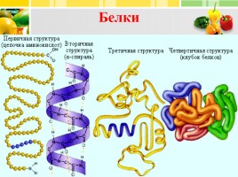 Урок химии в 11 классе «Химические вещества нашей пищи», слайд 14