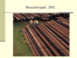 Современные древесные материалы и их свойства, слайд 2