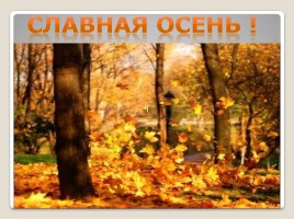 Н.А. Некрасов «Славная осень!», слайд 6