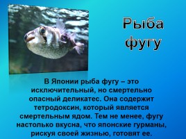 Удивительные факты из жизни рыб, слайд 17