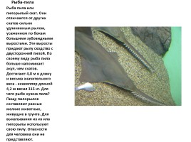 Удивительные факты из жизни рыб, слайд 6