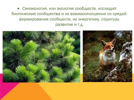 Экология, как наука: ее предмет и задачи, слайд 21