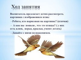 Конспект занятия «Перелетные птицы», слайд 4