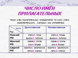 Правила по русскому языку для начальных классов, слайд 19
