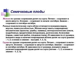 Знакомство с ролью овощей и фруктов в питании человека, слайд 31