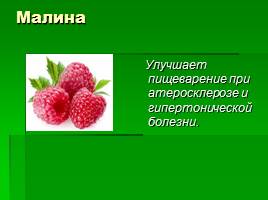 Классный час «Здоровый образ жизни», слайд 22