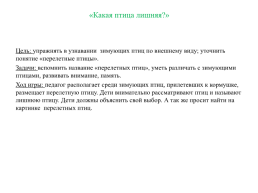 Дидактические игры по теме «Птицы» для детей среднего дошкольного возраста, слайд 4