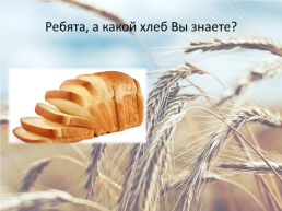 Откуда к нам пришел хлеб, слайд 22