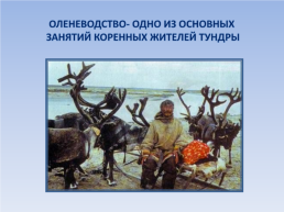 Природные зоны россии: Тундра. Окружающий мир, 4 класс, слайд 22