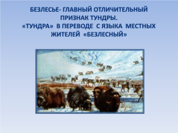 Природные зоны россии: Тундра. Окружающий мир, 4 класс, слайд 7