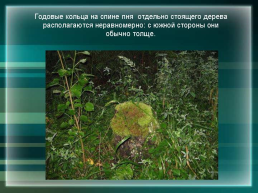 Природа и человек: борьба за выживание, слайд 12