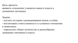 Проект «Наши домашние питомцы», слайд 2