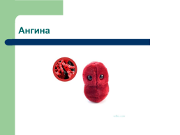 Профилактика инфекционных заболеваний quotХорошие и плохие микробыquot, слайд 17