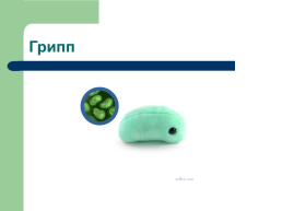 Профилактика инфекционных заболеваний quotХорошие и плохие микробыquot, слайд 19