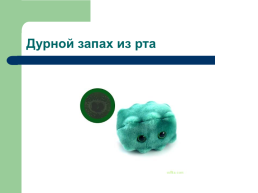 Профилактика инфекционных заболеваний quotХорошие и плохие микробыquot, слайд 21