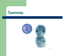 Профилактика инфекционных заболеваний quotХорошие и плохие микробыquot, слайд 27