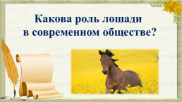 Рассказ Ф.А. Абрамова "О чём плачут лошади", слайд 12