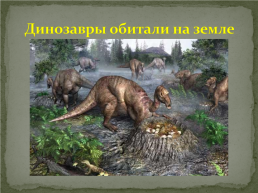 Мир динозавров, слайд 10