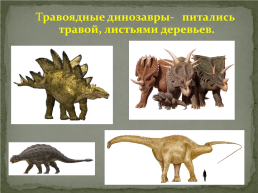 Мир динозавров, слайд 15