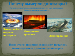 Мир динозавров, слайд 23