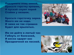 Покормите птиц зимой, слайд 8