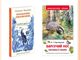 Книги К.Г.Паустовского яркие, романтичные, увлекательные, слайд 3