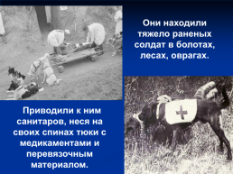 Роль животных в Великой Отечественной войне, слайд 13