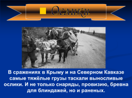 Роль животных в Великой Отечественной войне, слайд 20