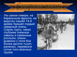 Роль животных в Великой Отечественной войне, слайд 24