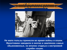 Роль животных в Великой Отечественной войне, слайд 25