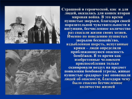 Роль животных в Великой Отечественной войне, слайд 26