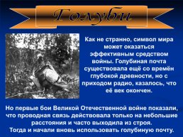 Роль животных в Великой Отечественной войне, слайд 28