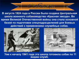 Роль животных в Великой Отечественной войне, слайд 3