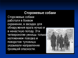 Роль животных в Великой Отечественной войне, слайд 5