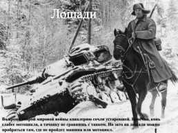 Подвиги животных во время Великой Отечественной войны, слайд 20