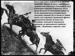 Подвиги животных во время Великой Отечественной войны, слайд 22