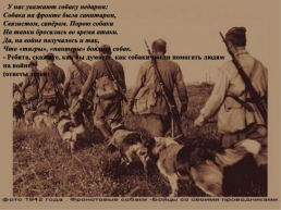 Подвиги животных во время Великой Отечественной войны, слайд 5