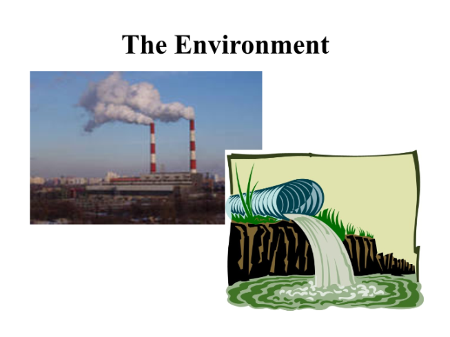 The environment