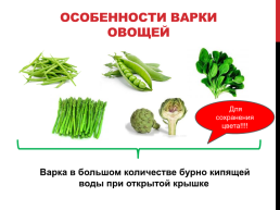 Блюда и гарниры из отварных и припущенных овощей, слайд 10
