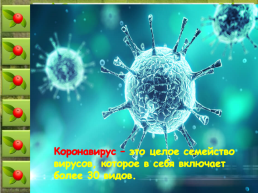 Коронавирус – это целое семейство вирусов, которое в себя включает более 30 видов, слайд 2