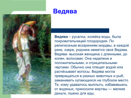 Тема исследования: «Мордовская народная сказка как культурное наследие Мордовского народа», слайд 13