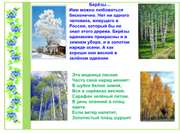 Проект по литературному чтению «Люблю берёзку Русскую», слайд 11