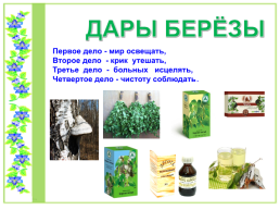 Проект по литературному чтению «Люблю берёзку Русскую», слайд 12