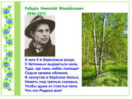 Проект по литературному чтению «Люблю берёзку Русскую», слайд 18