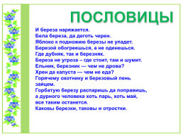 Проект по литературному чтению «Люблю берёзку Русскую», слайд 28