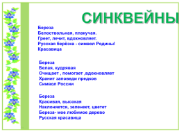 Проект по литературному чтению «Люблю берёзку Русскую», слайд 35