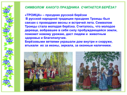 Проект по литературному чтению «Люблю берёзку Русскую», слайд 7